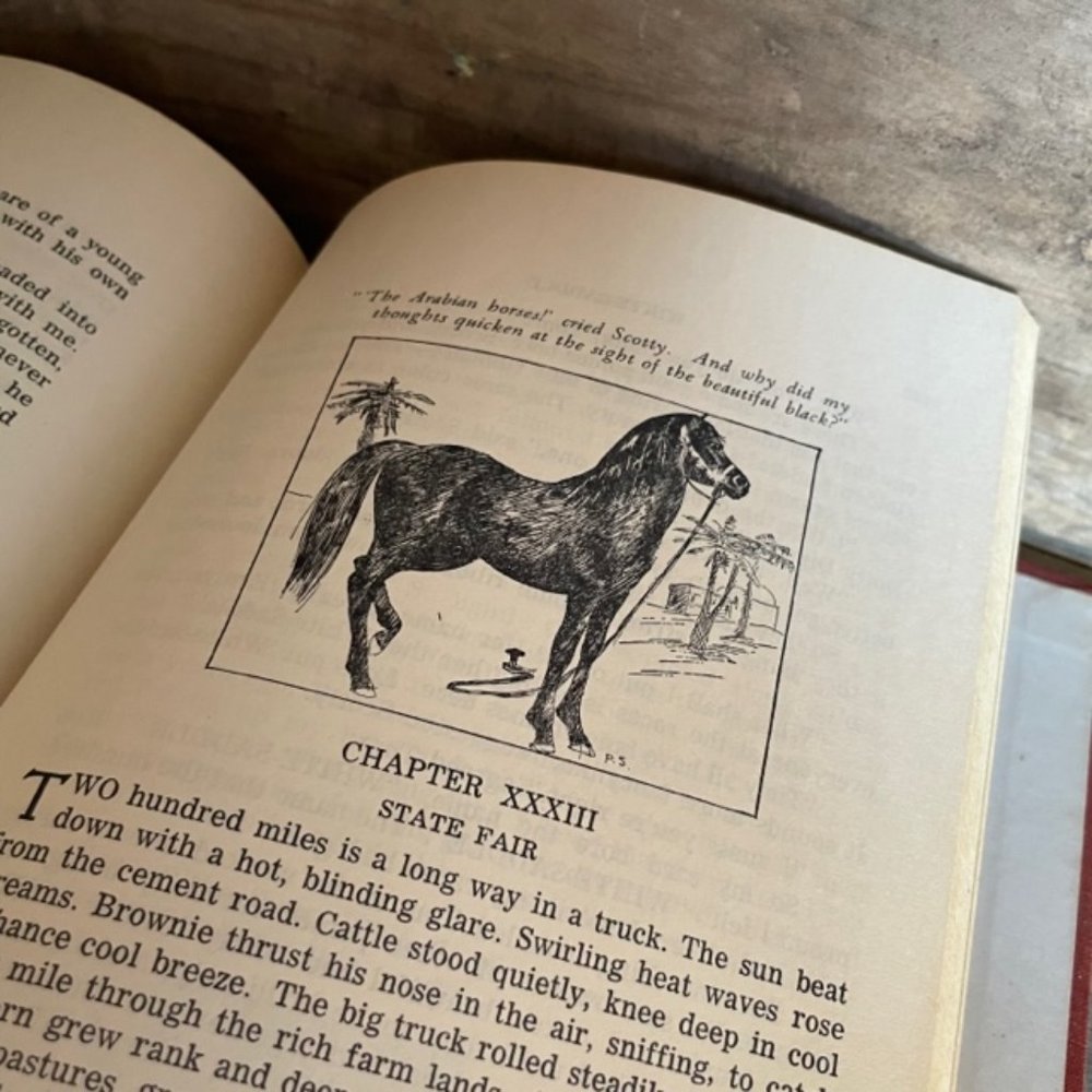 RARE Antique Vintage 1934 Horse Book White-Saddle Collectors Hard Copy - Picture 12 of 12